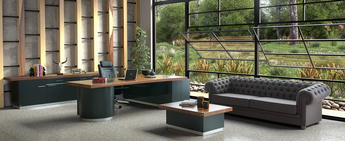 Bürosit Chester — görünüm 11