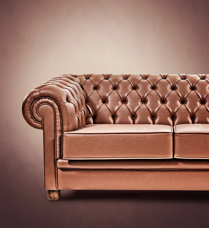 Bürosit Chester — görünüm 3