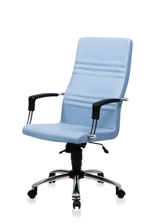 Bürosit Dolphin — görünüm 13