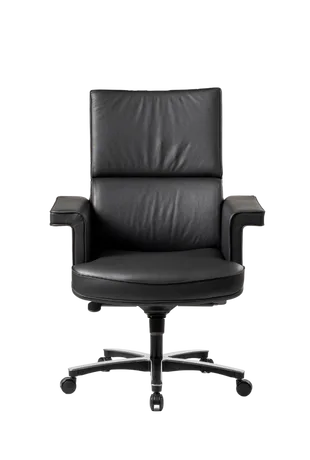 Bürosit Elegant — görünüm 13