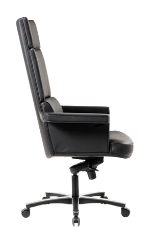 Bürosit Elegant — görünüm 8