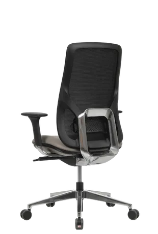Bürosit Eman — görünüm 19
