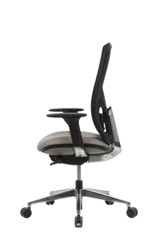 Bürosit Eman — görünüm 20