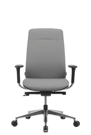 Bürosit Eman — görünüm 29