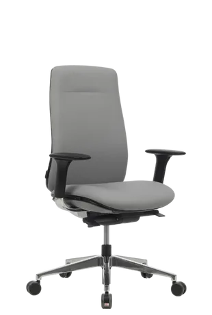 Bürosit Eman — görünüm 30