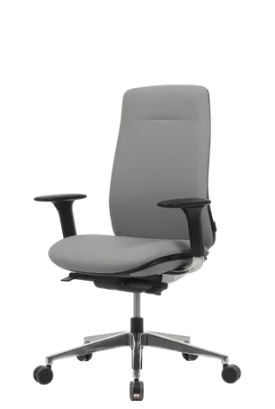 Bürosit Eman — görünüm 35
