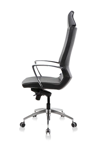 Bürosit Omega — görünüm 12