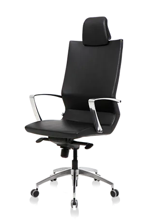 Bürosit Omega — görünüm 13