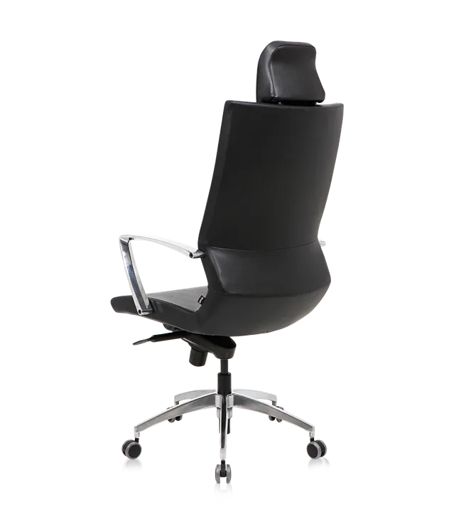 Bürosit Omega — görünüm 3