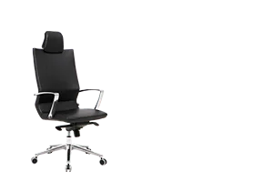 Bürosit Omega — görünüm 37