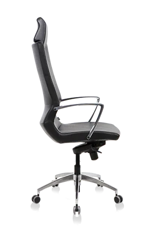 Bürosit Omega — görünüm 9