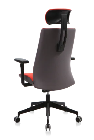 Bürosit Ori — görünüm 11