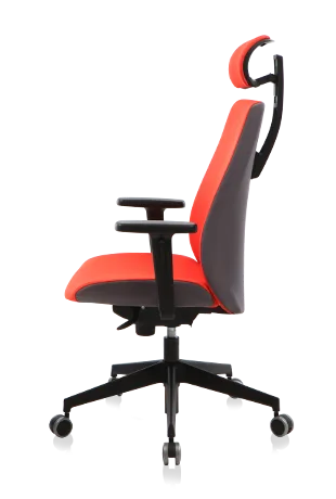 Bürosit Ori — görünüm 12