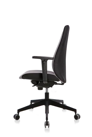 Bürosit Ori — görünüm 16