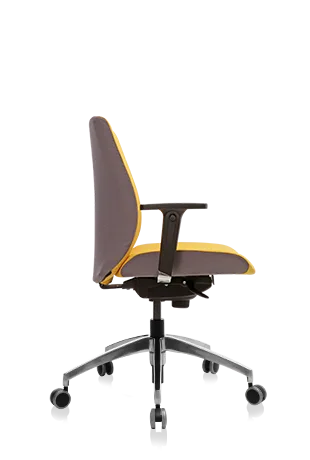 Bürosit Ori — görünüm 20