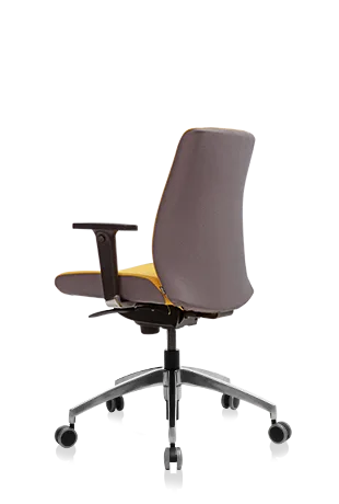 Bürosit Ori — görünüm 22
