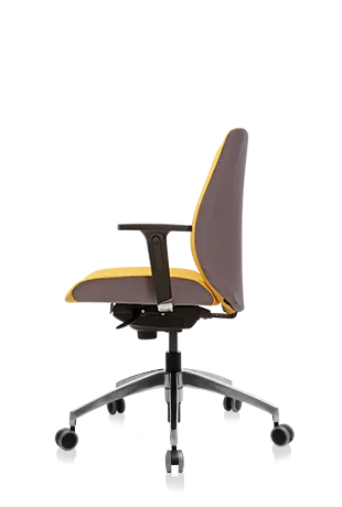 Bürosit Ori — görünüm 23