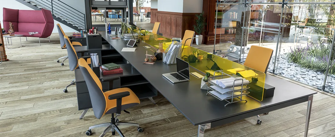 Bürosit Ori — görünüm 41