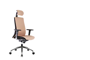 Bürosit Ori — görünüm 46