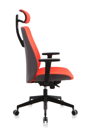 Bürosit Ori — görünüm 9