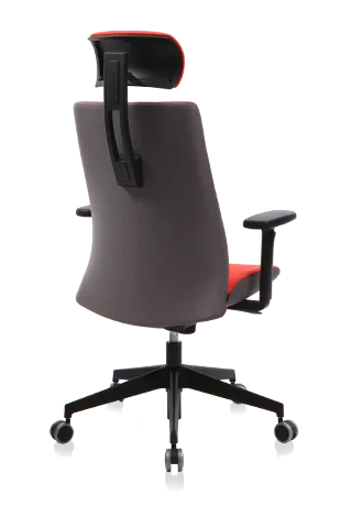 Bürosit Ori — görünüm 10