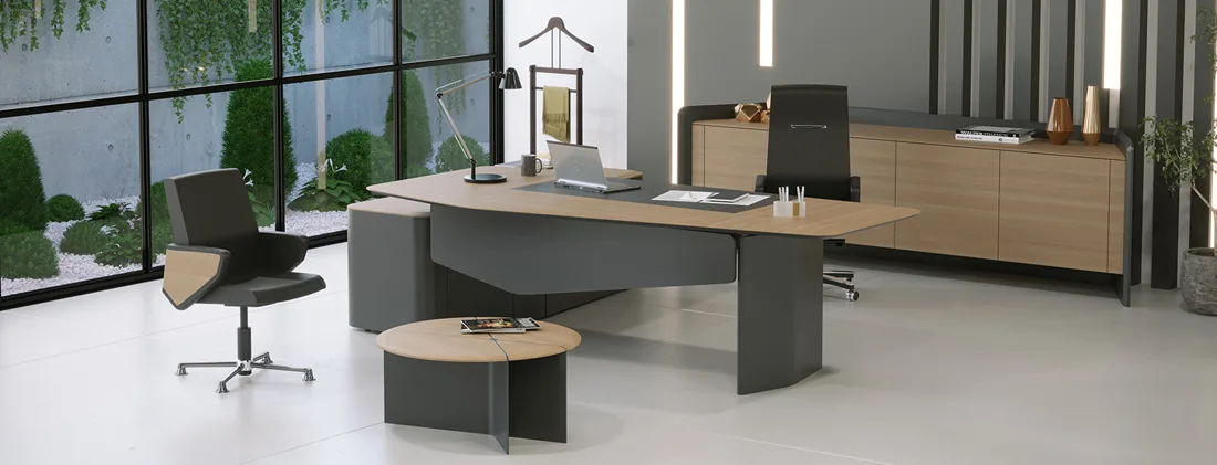Bürosit Penta — Yönetici Serileri