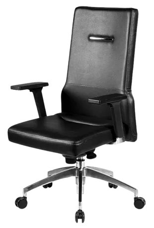 Bürosit Poise — görünüm 11