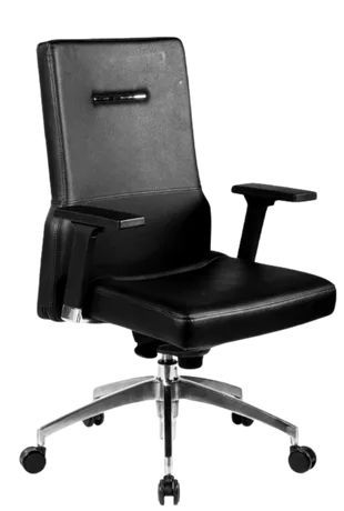 Bürosit Poise — görünüm 13