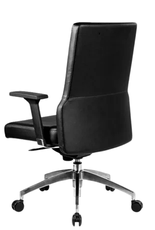 Bürosit Poise — görünüm 16