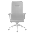 Bürosit Poise — görünüm 4