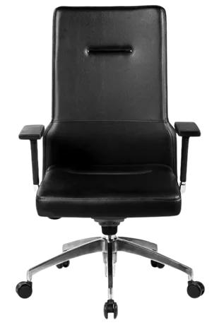 Bürosit Poise — görünüm 6