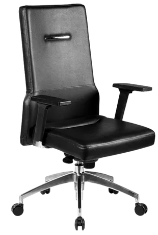 Bürosit Poise — görünüm 7