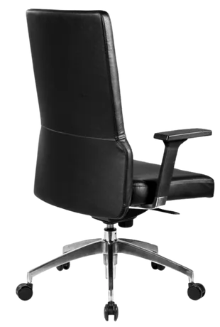 Bürosit Poise — görünüm 8