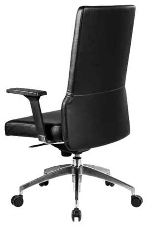 Bürosit Poise — görünüm 9