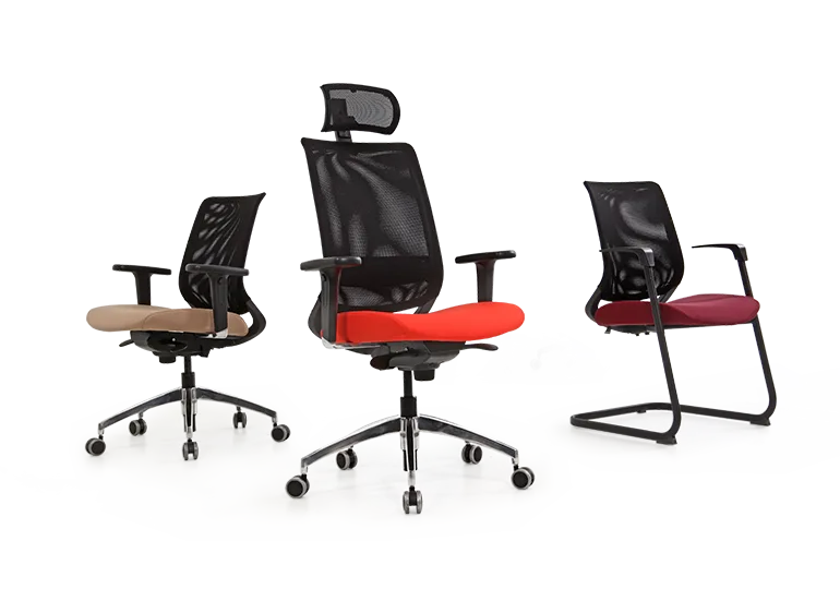 Bürosit Reflex — görünüm 2