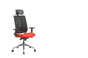 Bürosit Reflex — görünüm 36