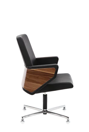 Bürosit Throne — görünüm 13