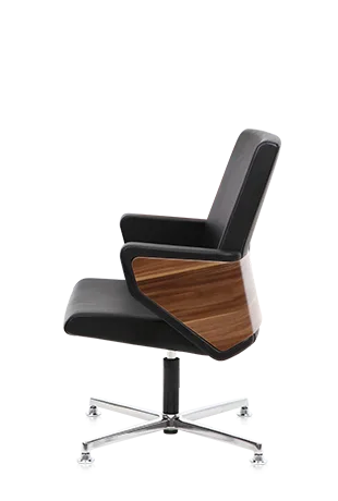 Bürosit Throne — görünüm 17