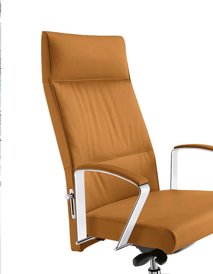 Sesta Ada LX — görünüm 10