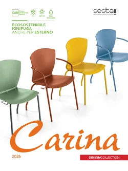 Sesta Carina — görünüm 20