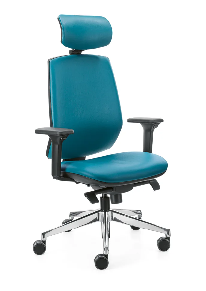 Sesta Cobra TT — Çalışma Koltukları