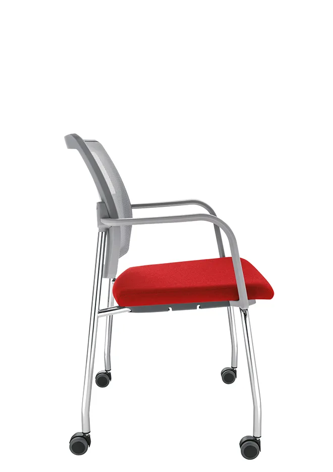 Sesta Q-44 XL — görünüm 5