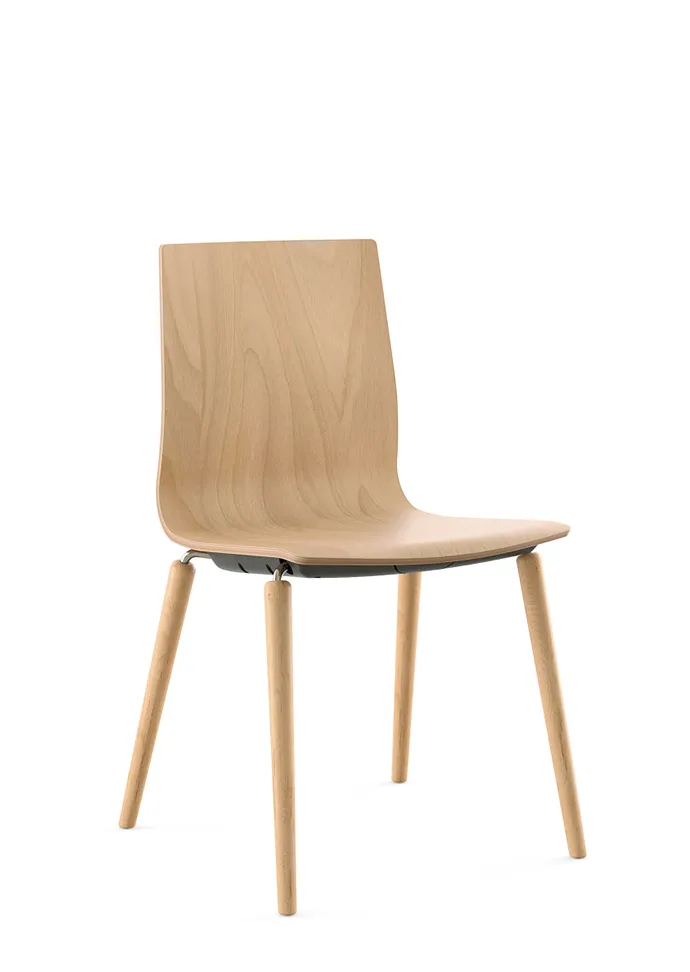 Sesta Q2 Waiting — görünüm 2